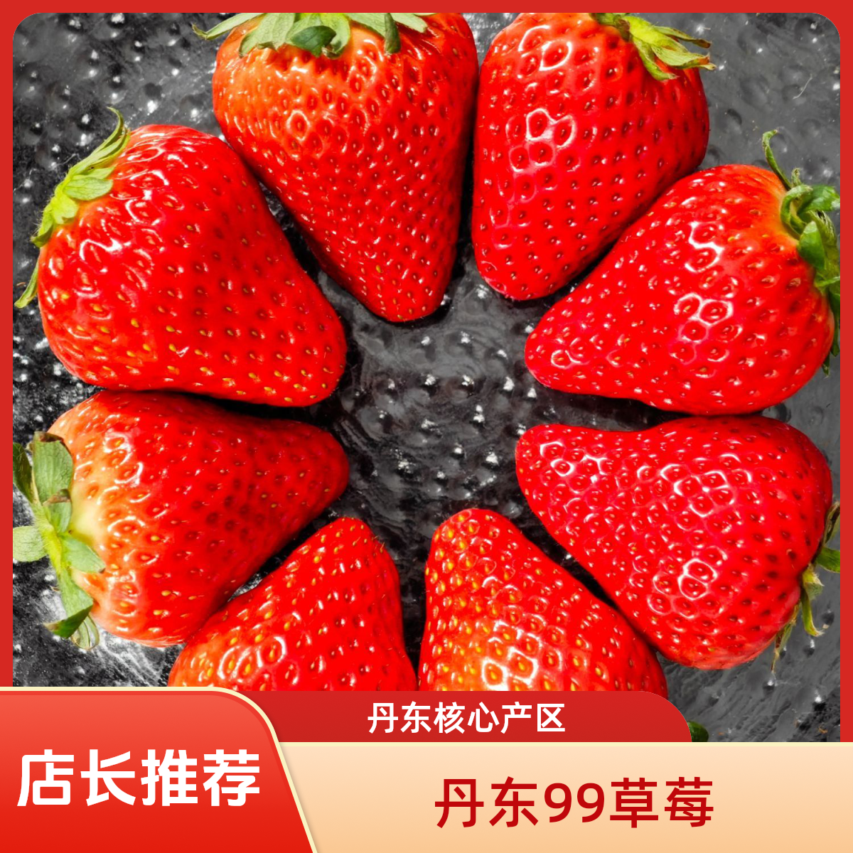 直播福利【丹东99草莓】红颜牛奶草莓东港核心产地当日现摘空运包邮