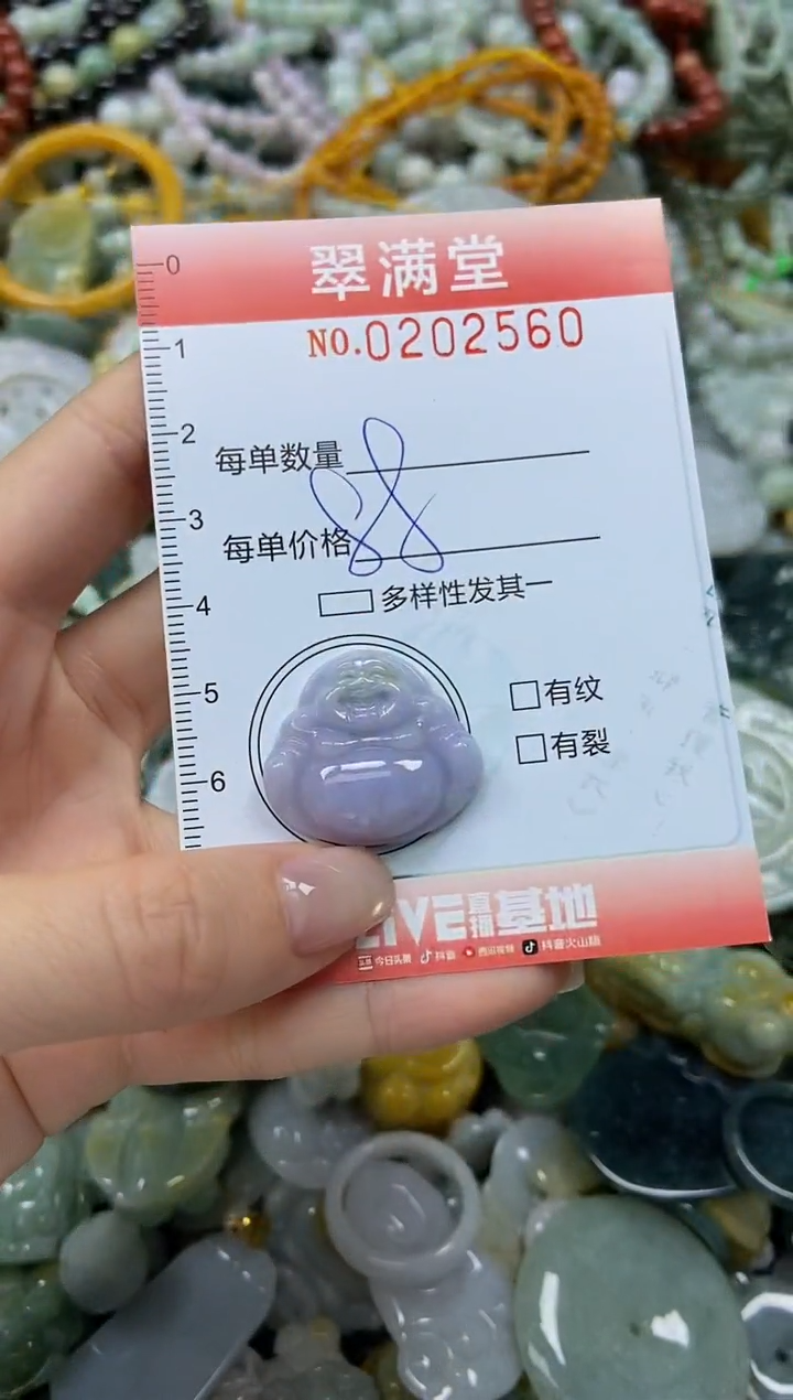 颈饰未镶嵌翡翠闪购0202560