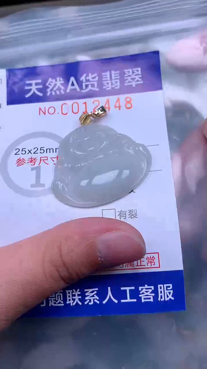 翡翠未镶嵌吊坠(不含链)1