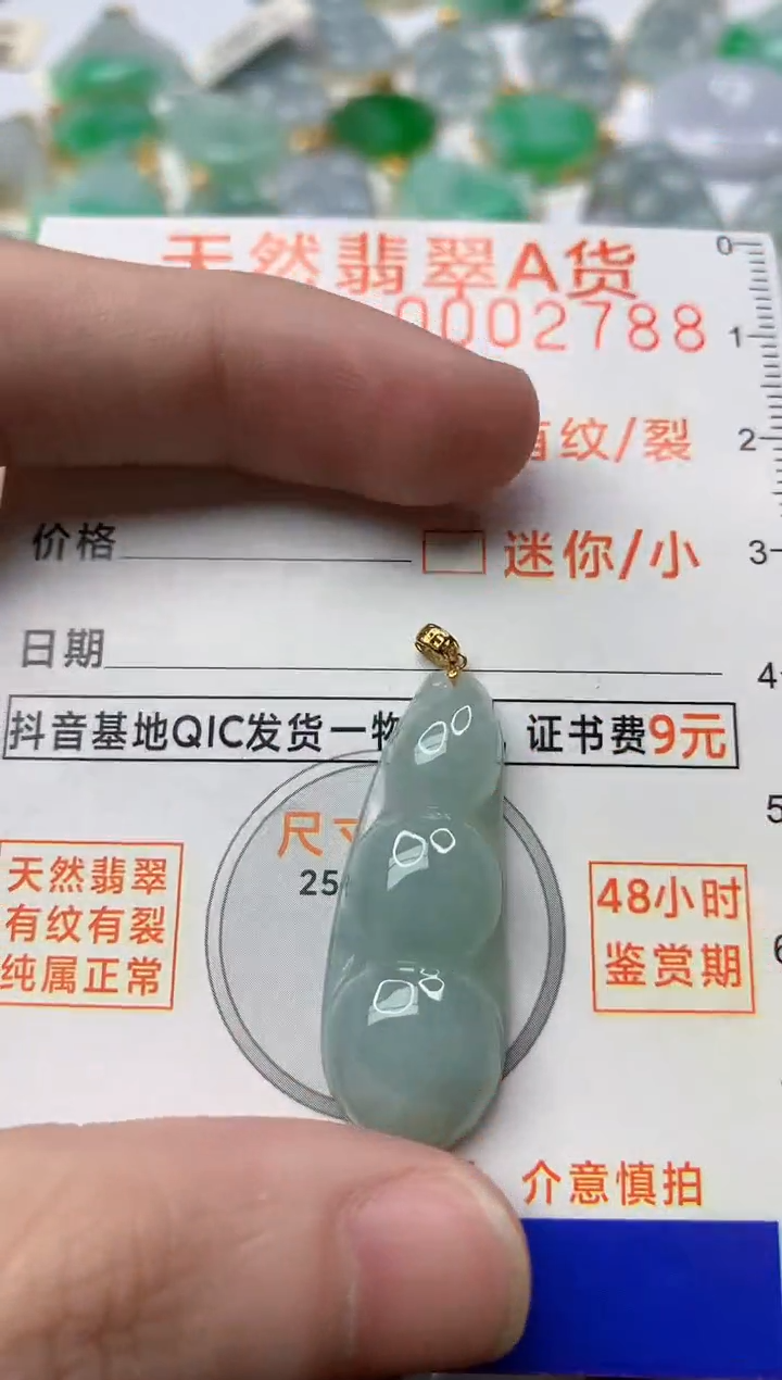【闪购商品】翡翠颈饰18K金镶嵌2.............