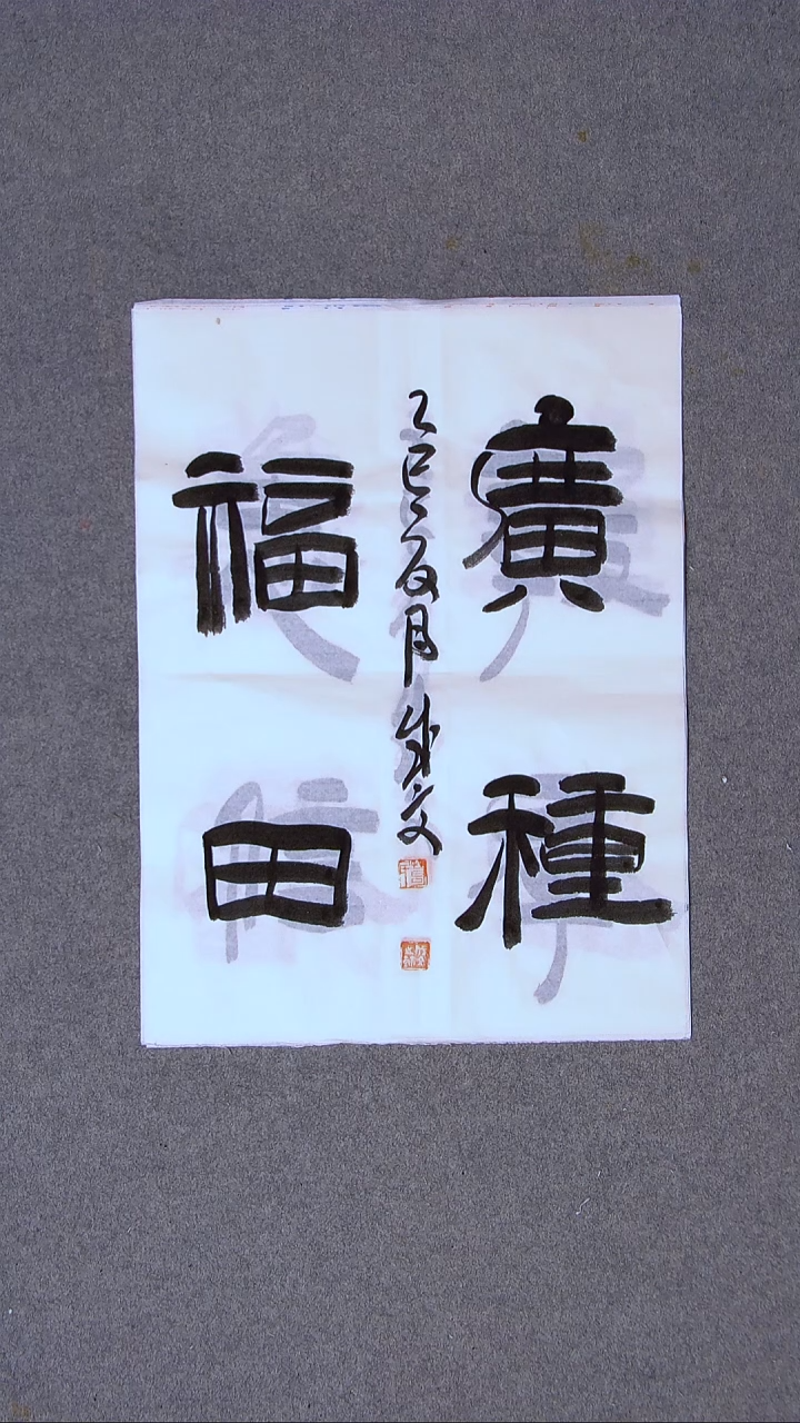 书法苟成文甘肃定西46*35尺寸