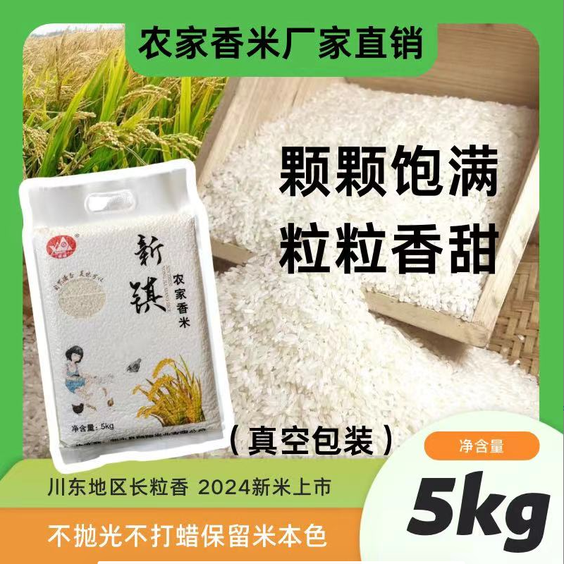 2025年新米新镇长粒香米10斤长粒米农家自种大米真空包装5kgx1袋
