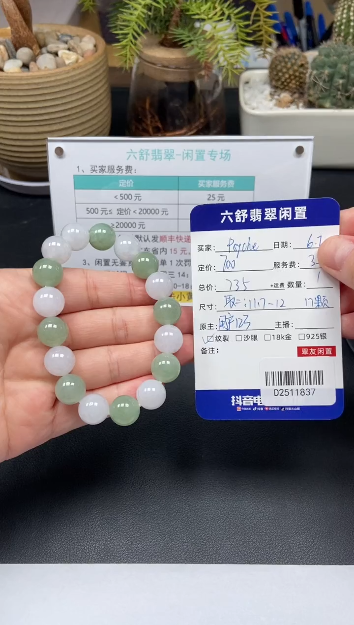 未镶嵌手串翡翠D2511837