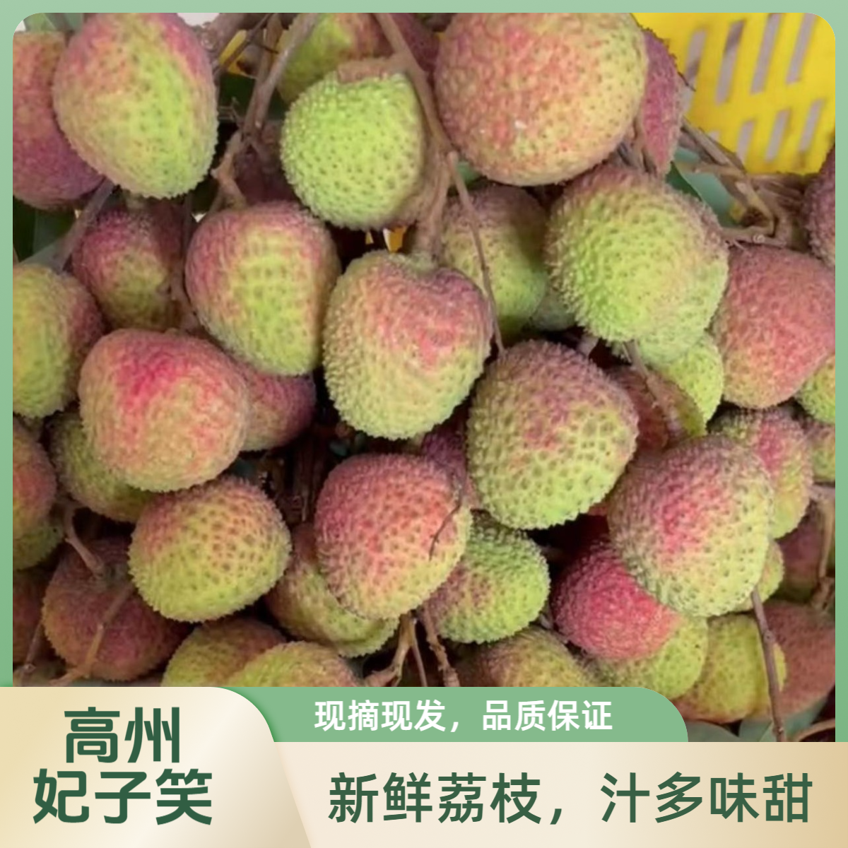 整箱6斤 高州妃子笑荔枝荔枝净重4.3-4.5斤 冷链包邮荔枝同城送