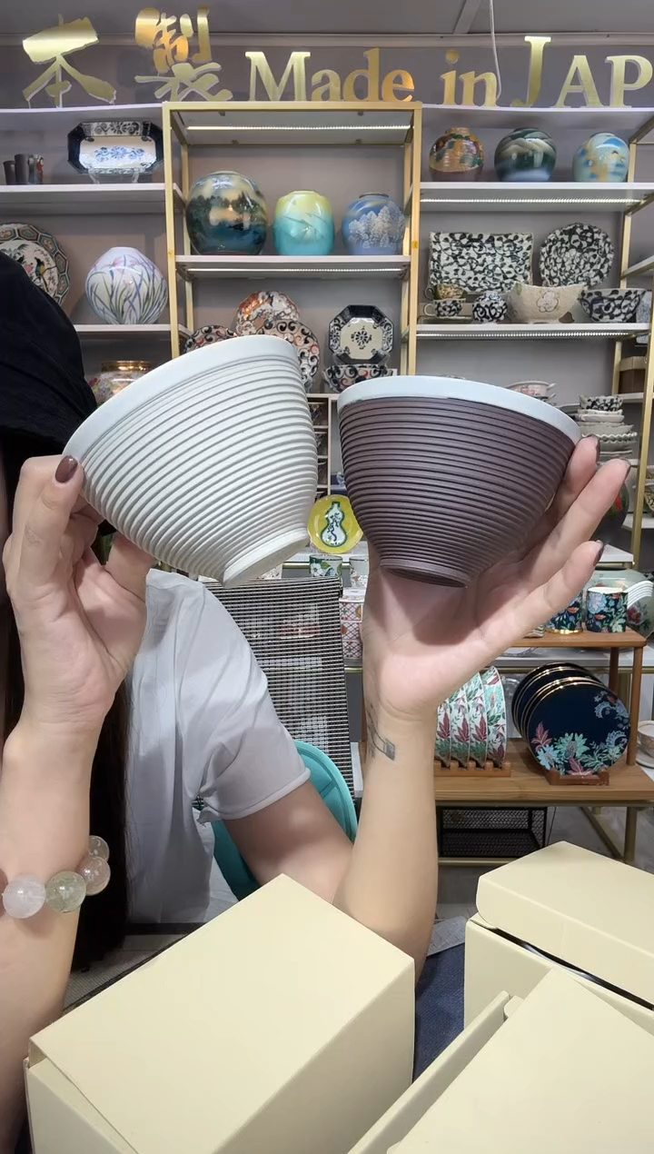 陶瓷11厘米饭碗2件套preese05-SNE-3