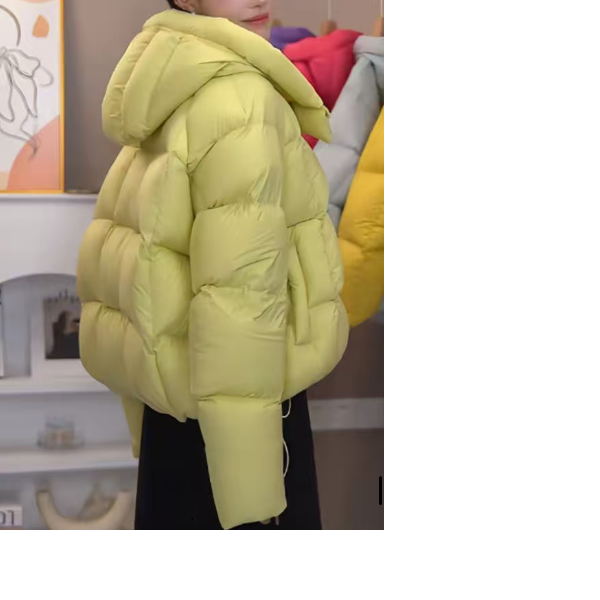 张张-2025新款时尚保暖连帽款羽绒服W55Q41997