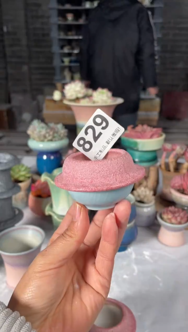 瓷片829小芳直播编号