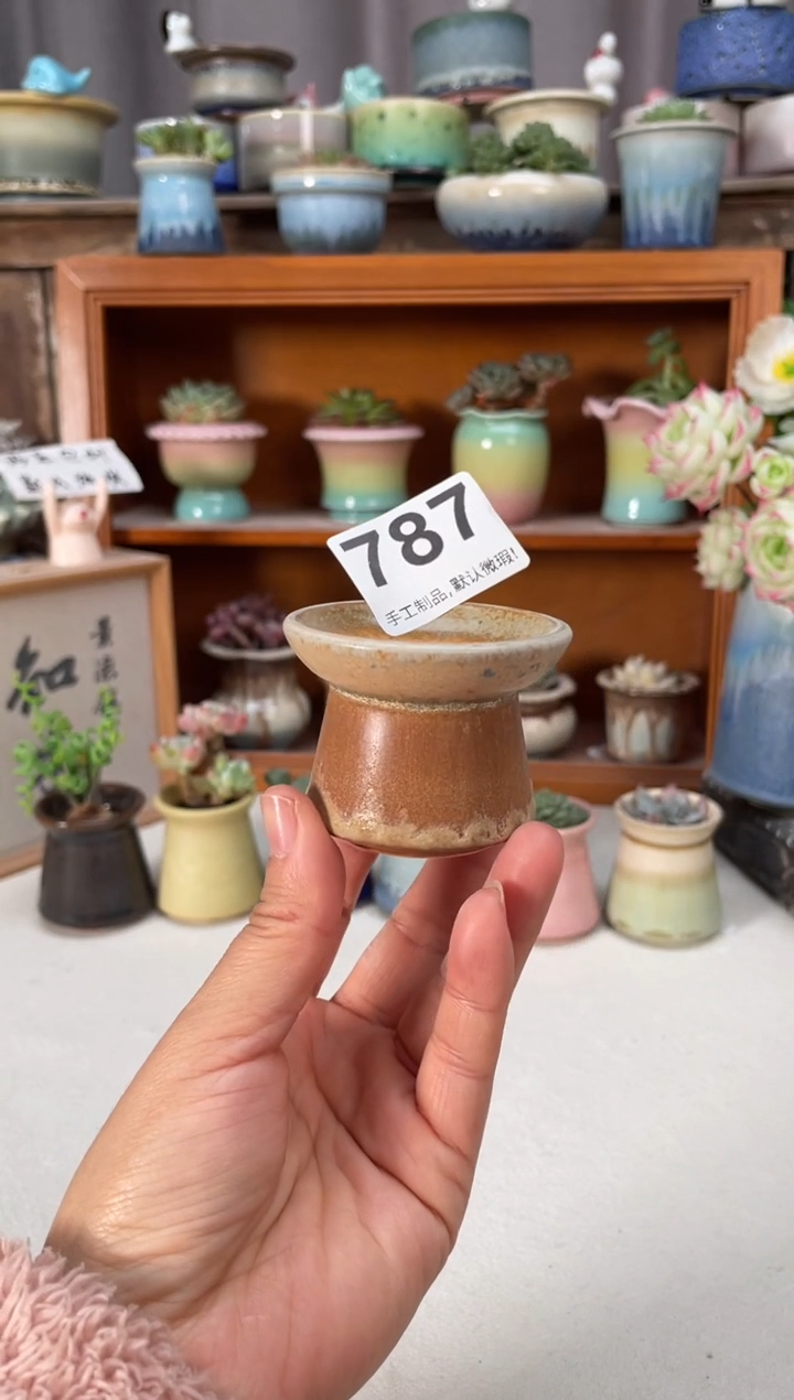 瓷片雪****斯787知木小芳花盆编号
