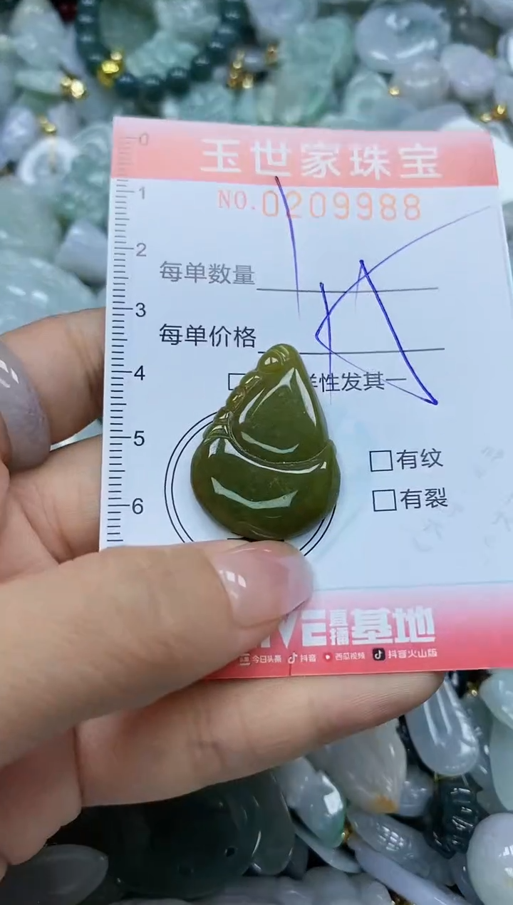 【闪购商品】翡翠颈饰未镶嵌闪购0209988