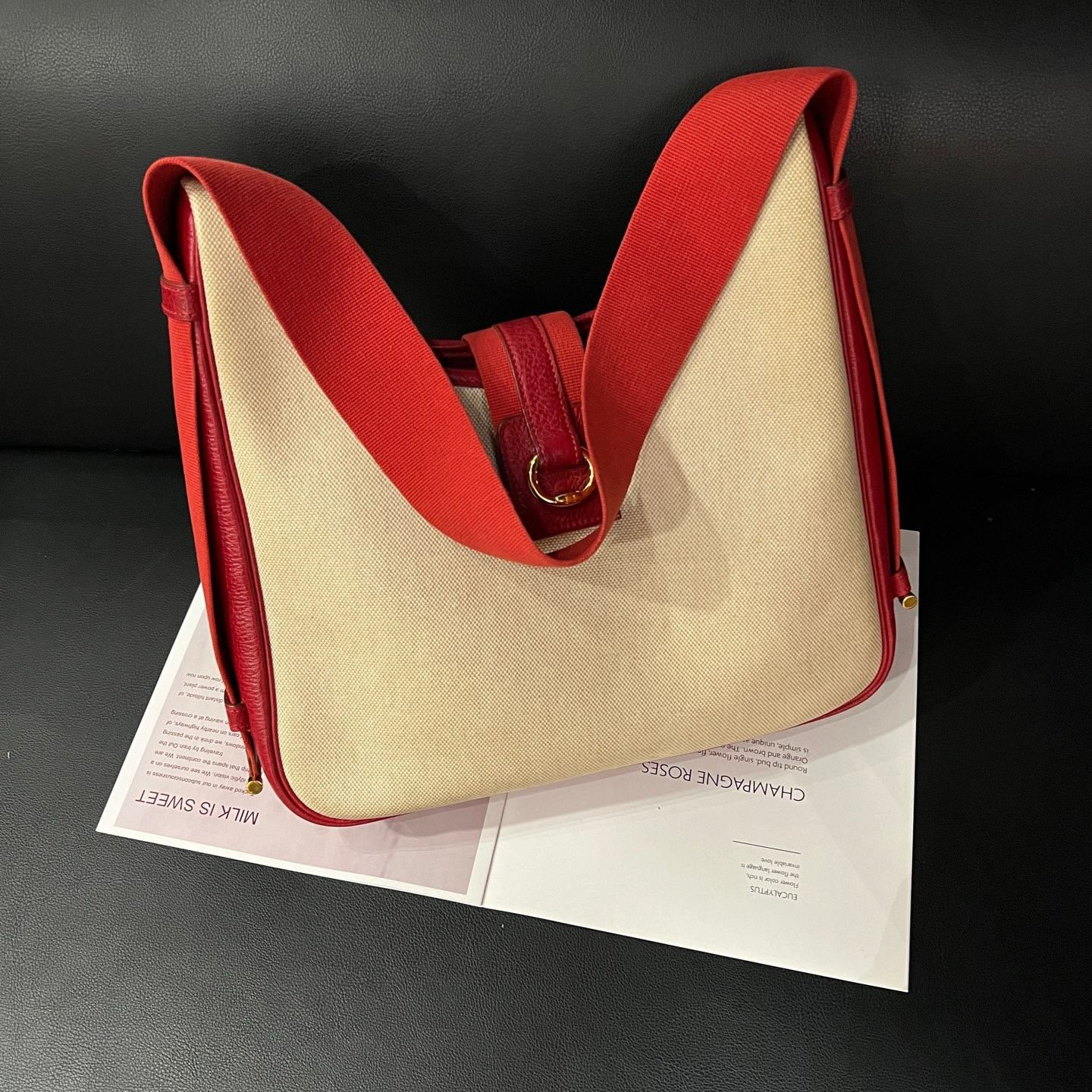 99新 Hermes/爱马仕 帆布拼皮hobo单肩包B6566寄卖服务