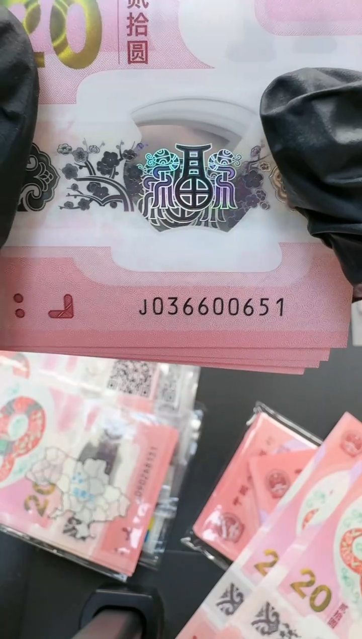 【闪购商品】塑料国评-蛇钞标十036600651..