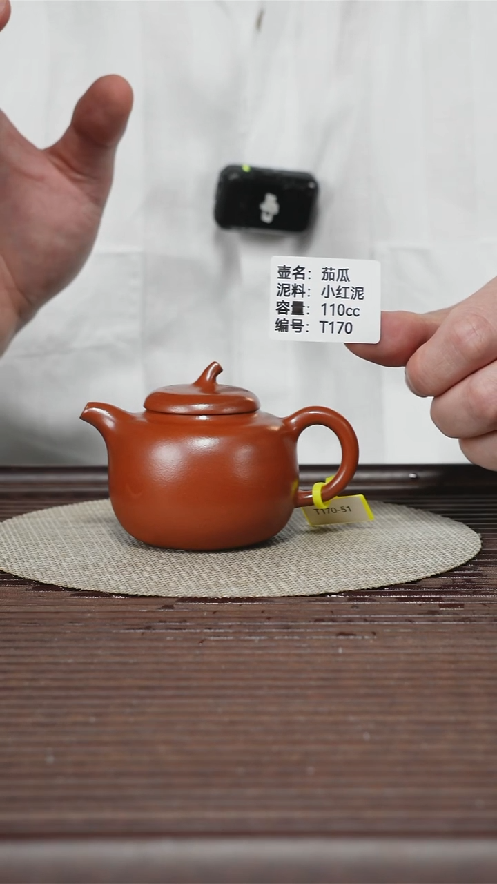 茶壶紫砂T170 小红泥 茄瓜 110cc