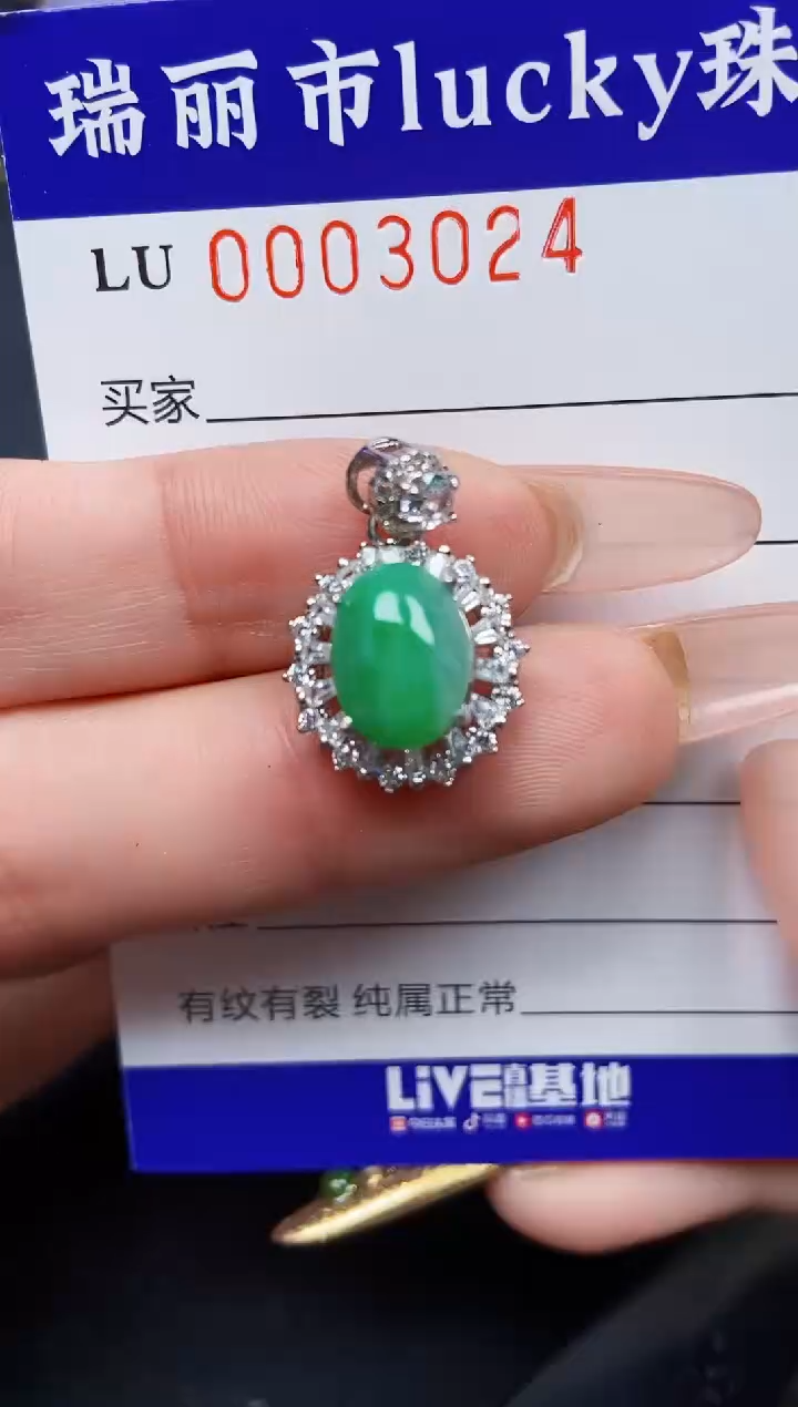 【闪购商品】翡翠颈饰银S925镶嵌3024