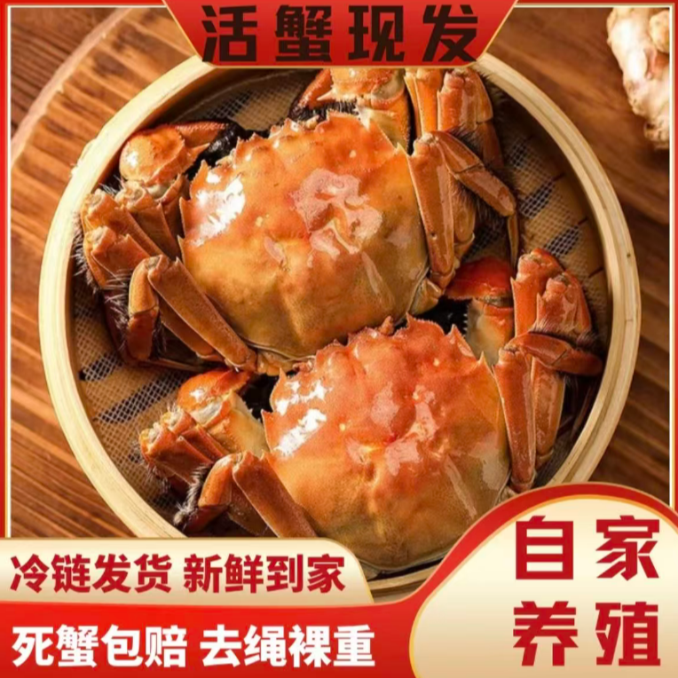 【活蟹现发】江苏精品大闸蟹4.0两公蟹/3.0两母蟹10只礼盒装冷链