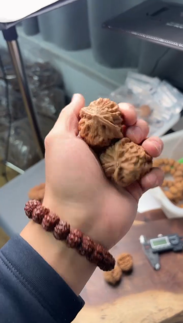 手串金刚菩提011凤凰台44左右