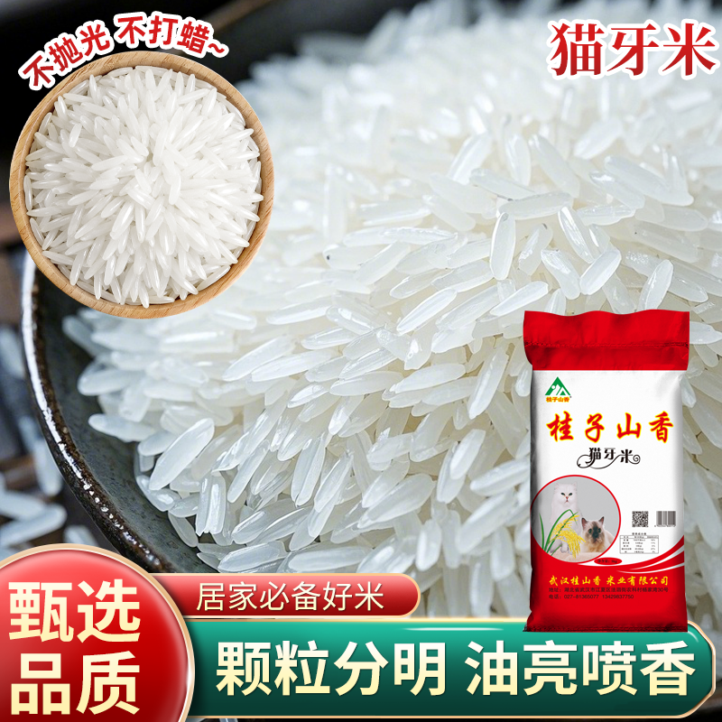 桂子山香25年新大米软糯香米长粒香大米猫牙米健康食品纯正农产品