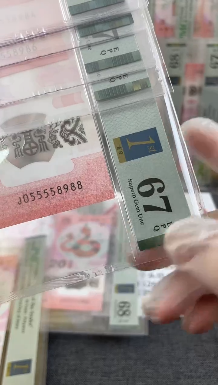 【闪购商品】塑料PMG蛇钞4个5头尾8988