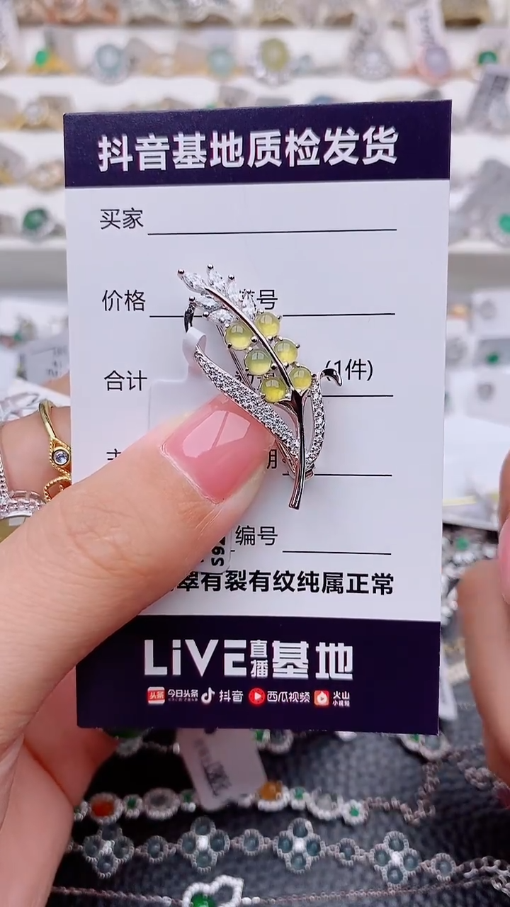 翡翠银S925镶嵌胸饰是**啊.............