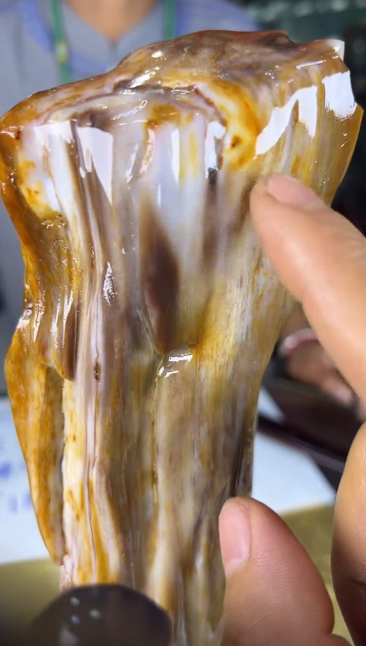 未镶嵌珠宝奇石硅化玉缅甸天然树化玉摆件