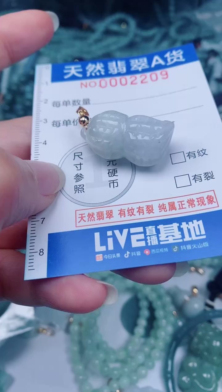 颈饰未镶嵌翡翠00002209