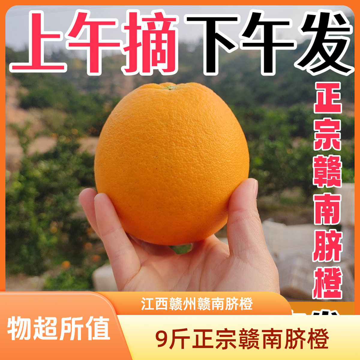 9斤正宗赣南脐橙新鲜水果皮薄肉厚多汁果园直发赣州正宗脐橙
