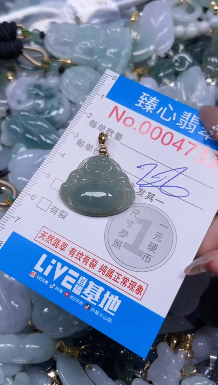 颈饰未镶嵌翡翠4737