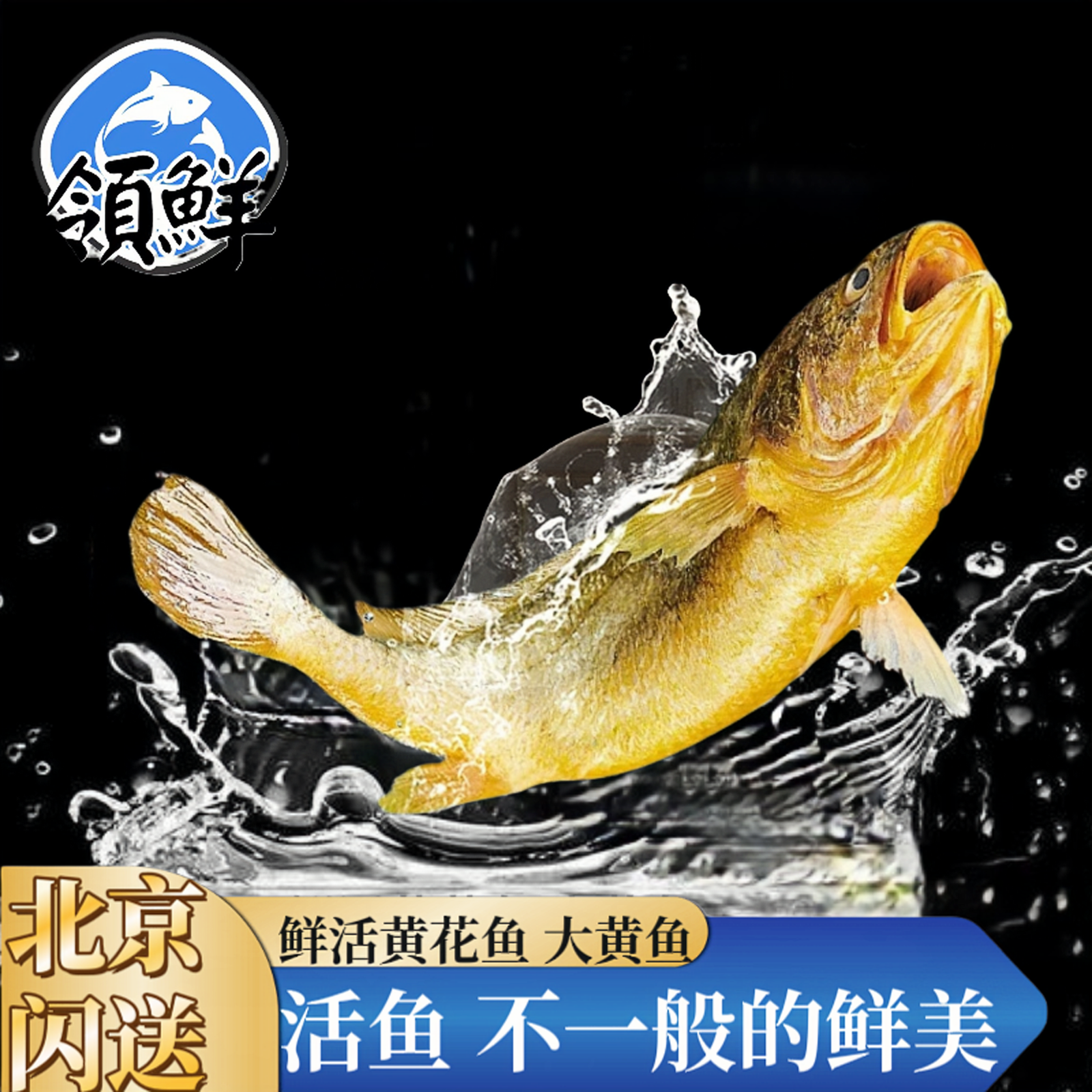 【推荐】鲜活黄鱼 海水鱼（多重量可选）
