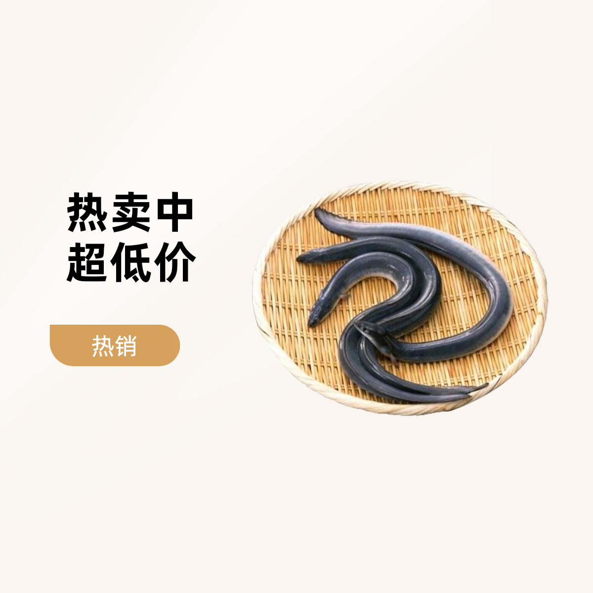 【鱼类】鲜活河鳗/白鳝 包鲜活到家