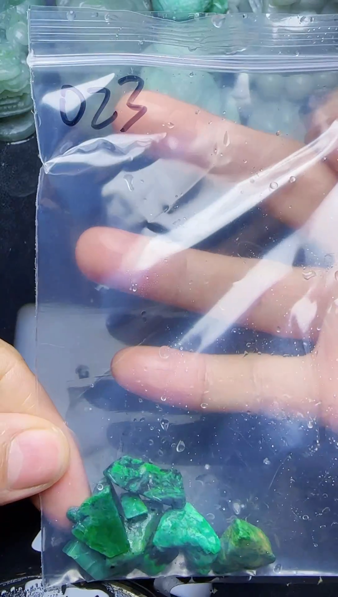 颈饰未镶嵌翡翠023