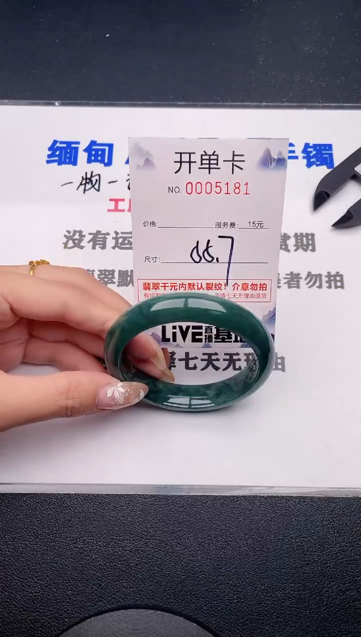 未镶嵌手镯翡翠81