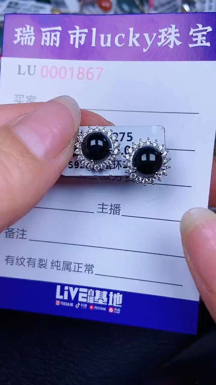 颈饰银S925镶嵌翡翠1867