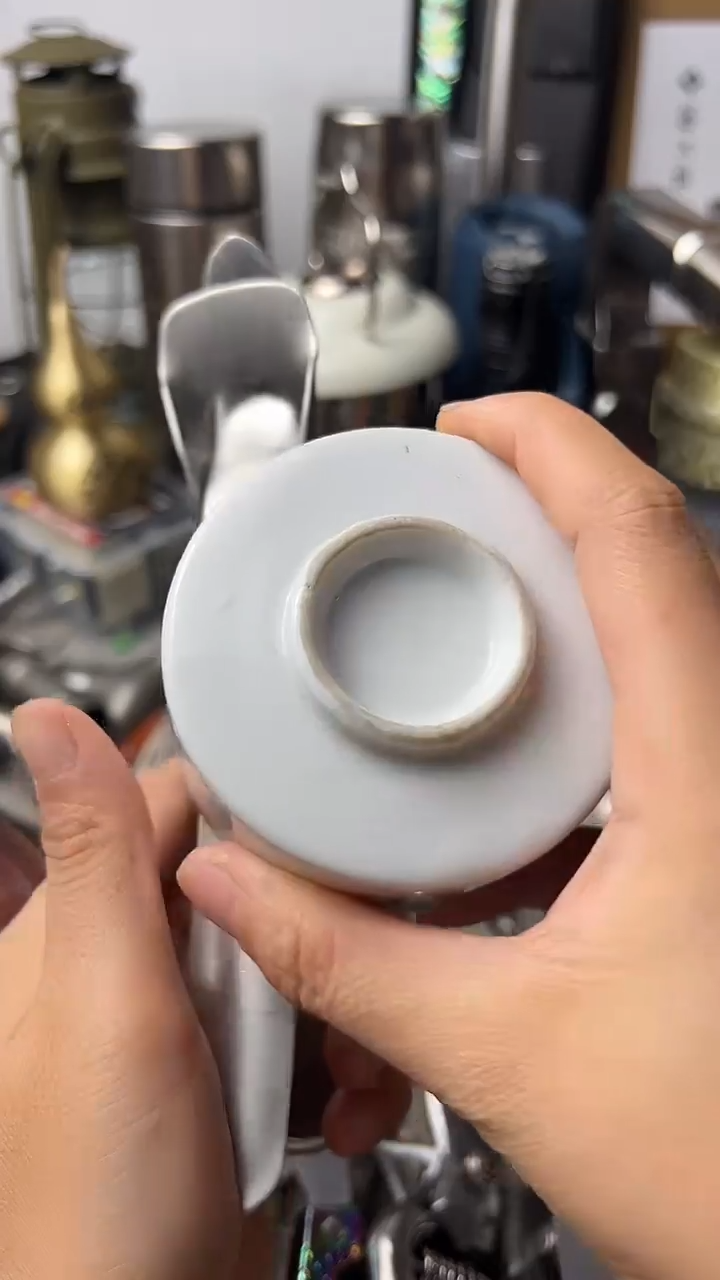 陶瓷瓷片东京很热杂货正品保证