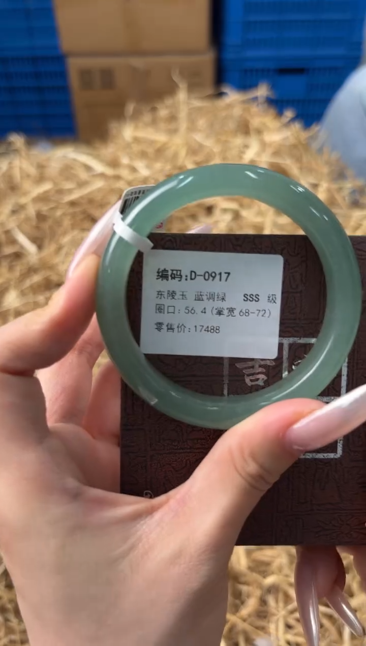 未镶嵌手镯石英质玉D-0917
