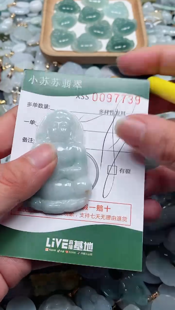 【闪购商品】翡翠颈饰未镶嵌闪购商品0097739