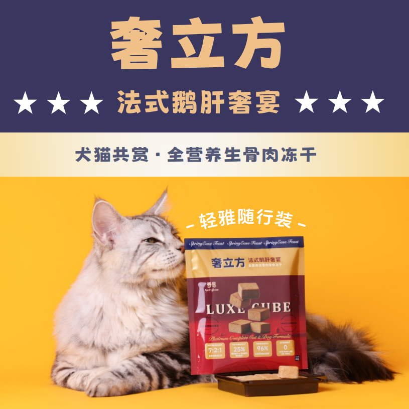 春易奢立方法式鹅肝生骨肉冻干轻奢高级精致外出宠物零食犬猫通用
