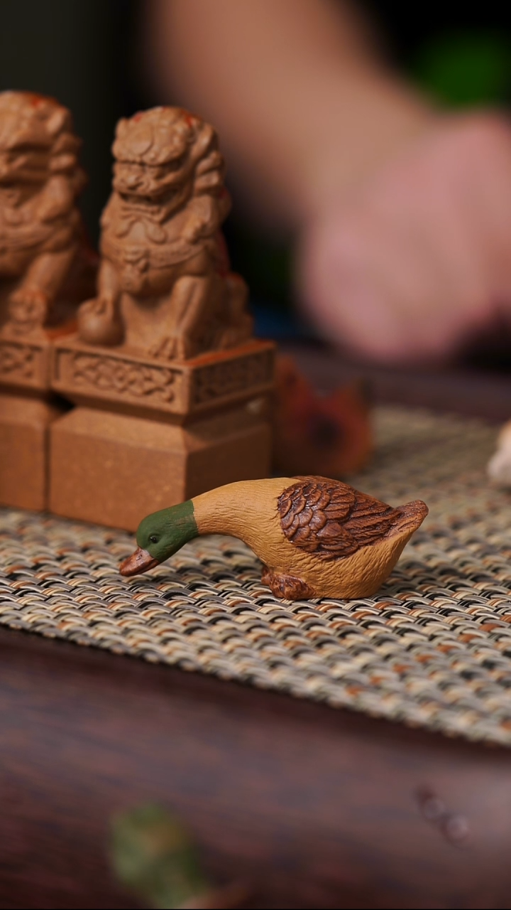 原矿茶宠春江水暖鸭先知 觅食