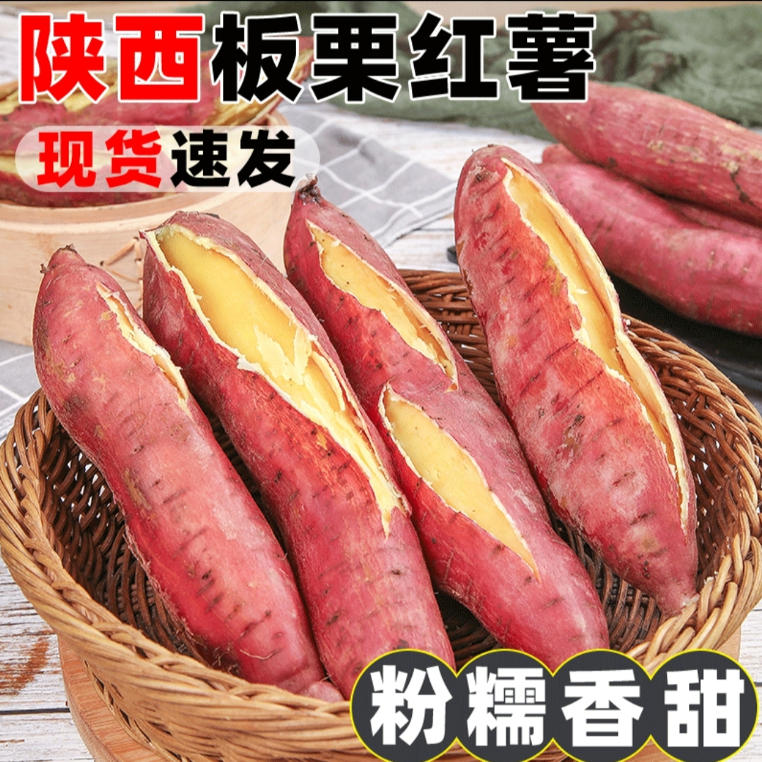 新鲜现挖板栗红薯甜软糯老品种地瓜番薯