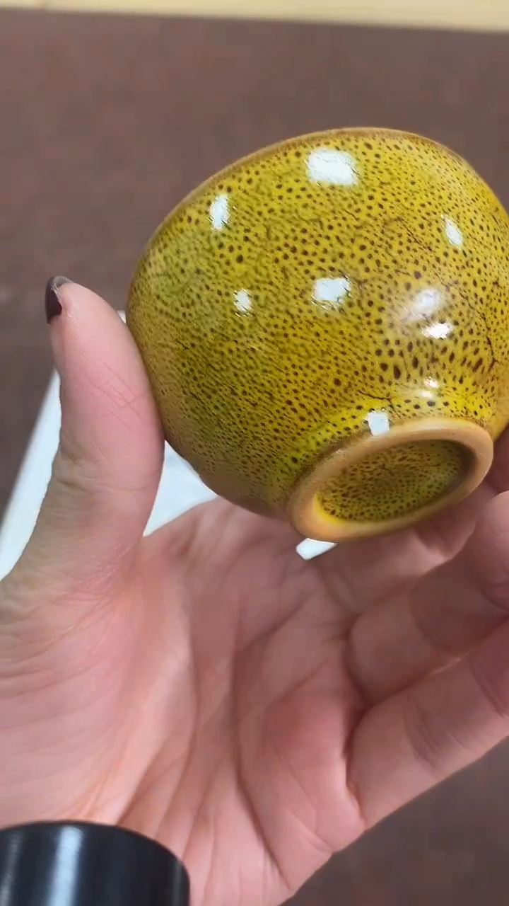 瓷片529养器轩欢迎您