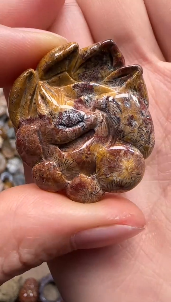 【闪购商品】硅化珊瑚（珊瑚玉）颈饰未镶嵌495