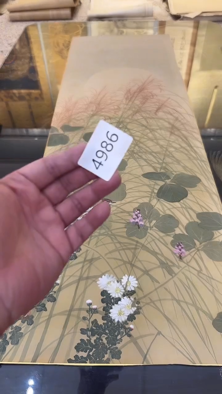 横款风**8日瓷回流持续放漏