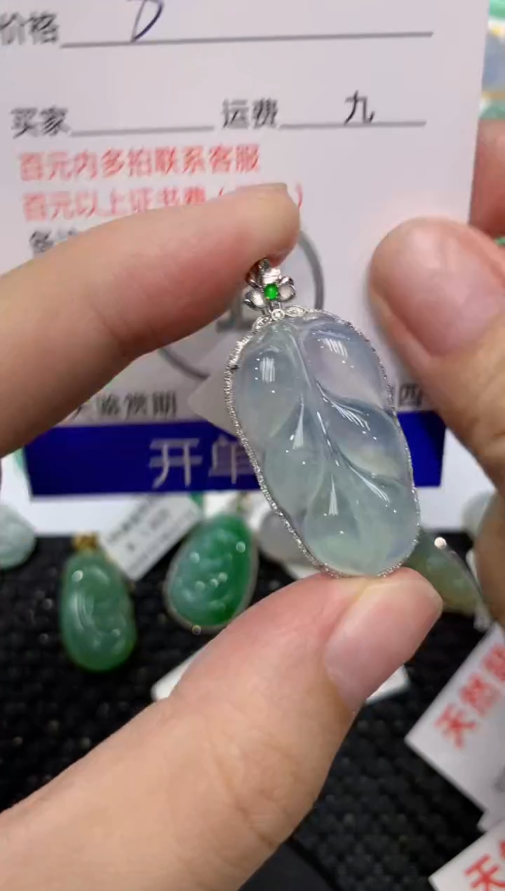 【闪购商品】翡翠颈饰未镶嵌111111111111   