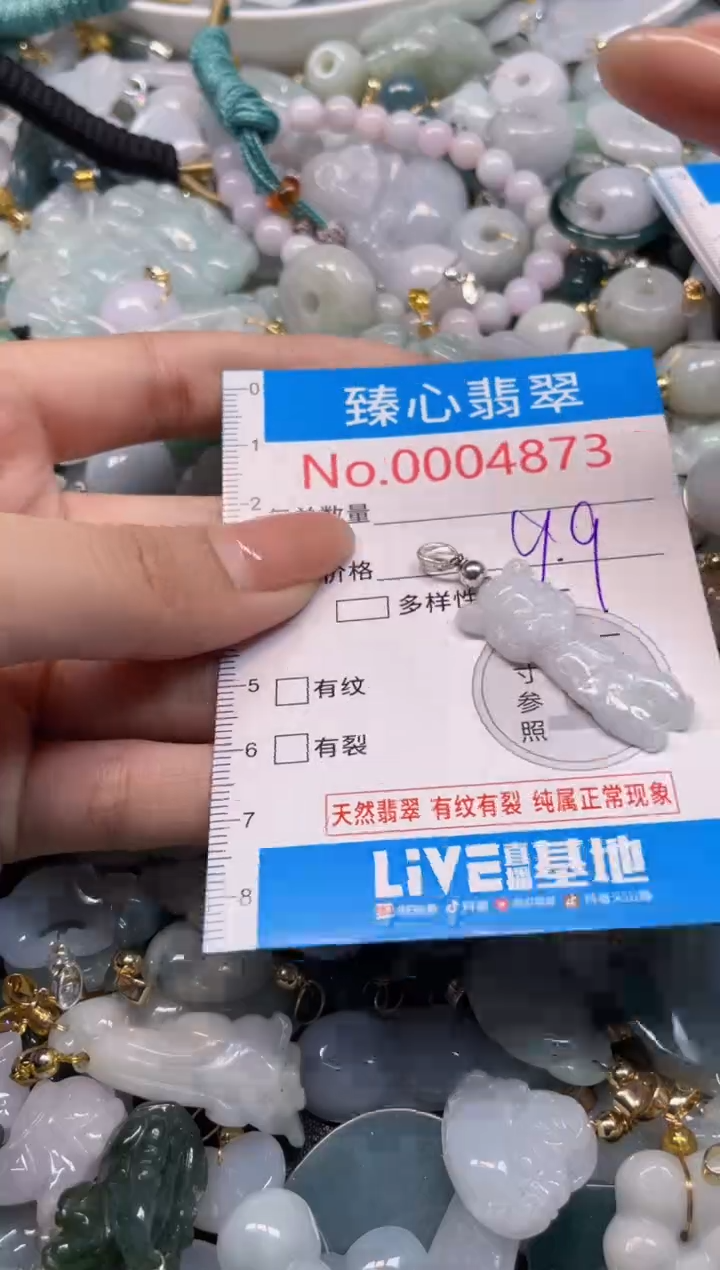 颈饰未镶嵌翡翠4873