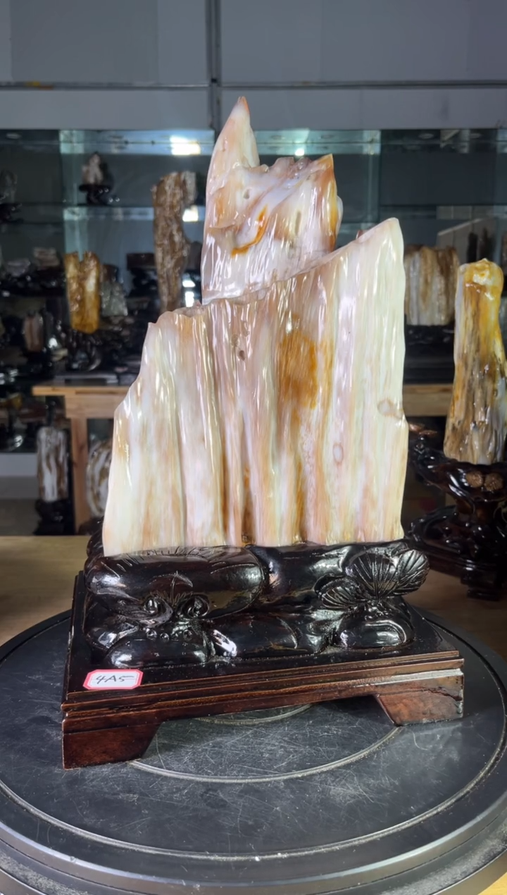 【闪购商品】硅化玉珠宝奇石未镶嵌1