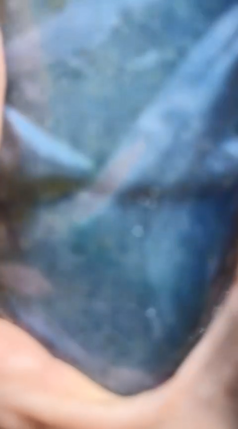 颈饰未镶嵌翡翠真*226