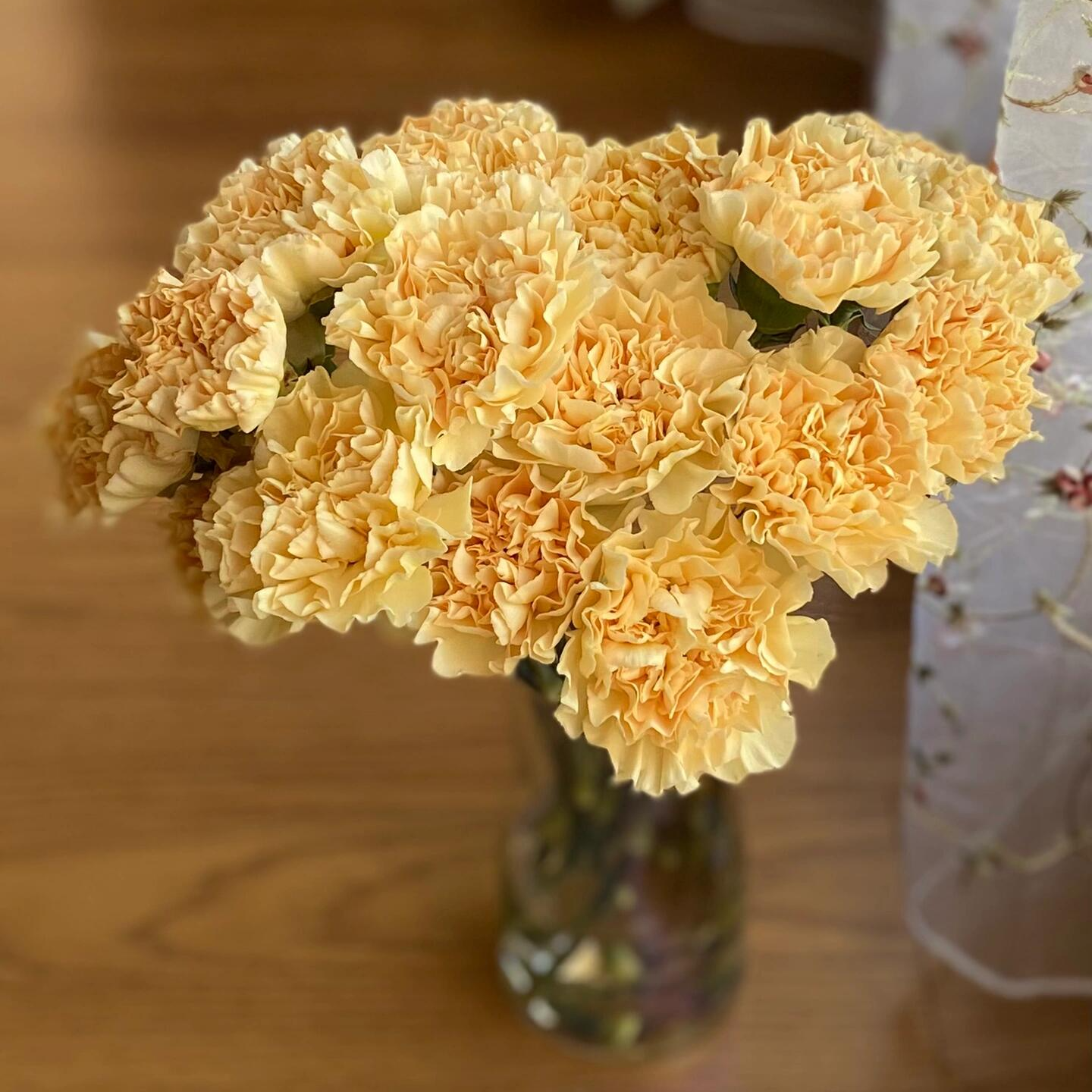 【奶酪香槟康乃馨】全场任意两单京东包邮（一单要+5元运费）浅水养护