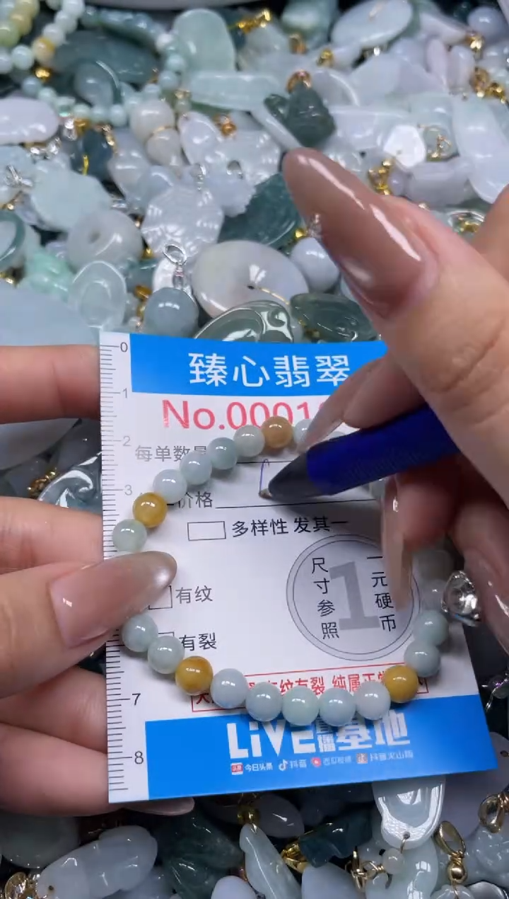 颈饰未镶嵌翡翠1002