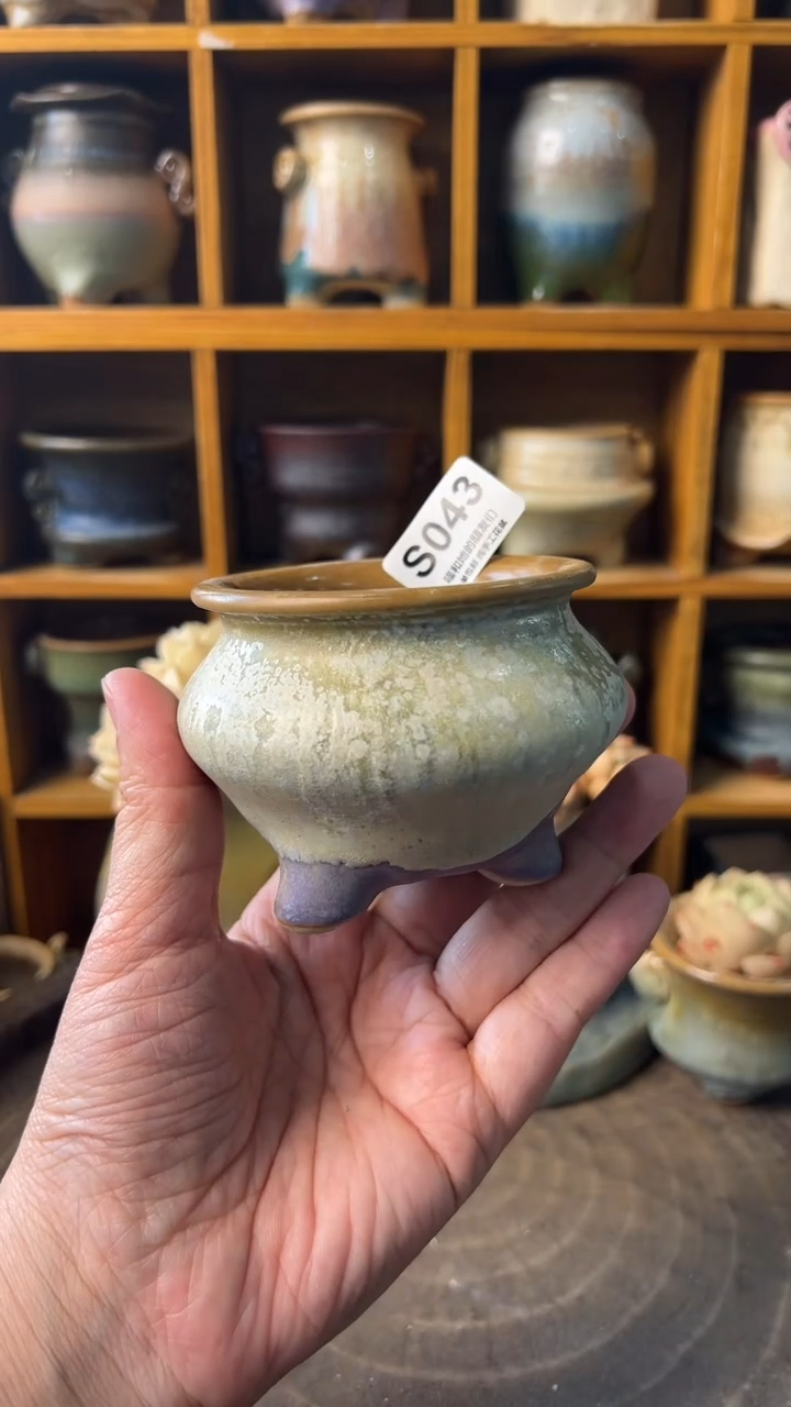 043 内口6【多肉花盆多肉盆】