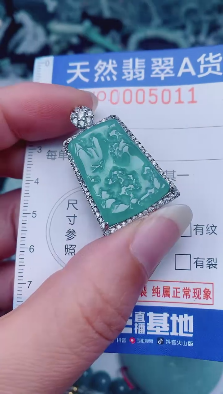 颈饰未镶嵌翡翠00005011