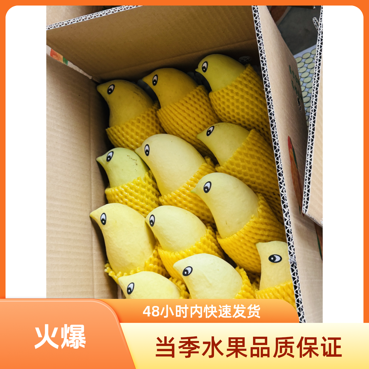 云南特产鹰嘴芒当季新鲜现摘