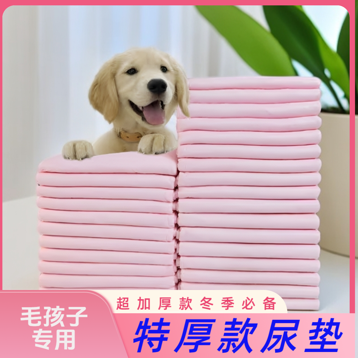特厚狗狗尿垫除臭吸水尿垫狗用宠物吸水尿垫小狗尿垫狗狗除臭加厚